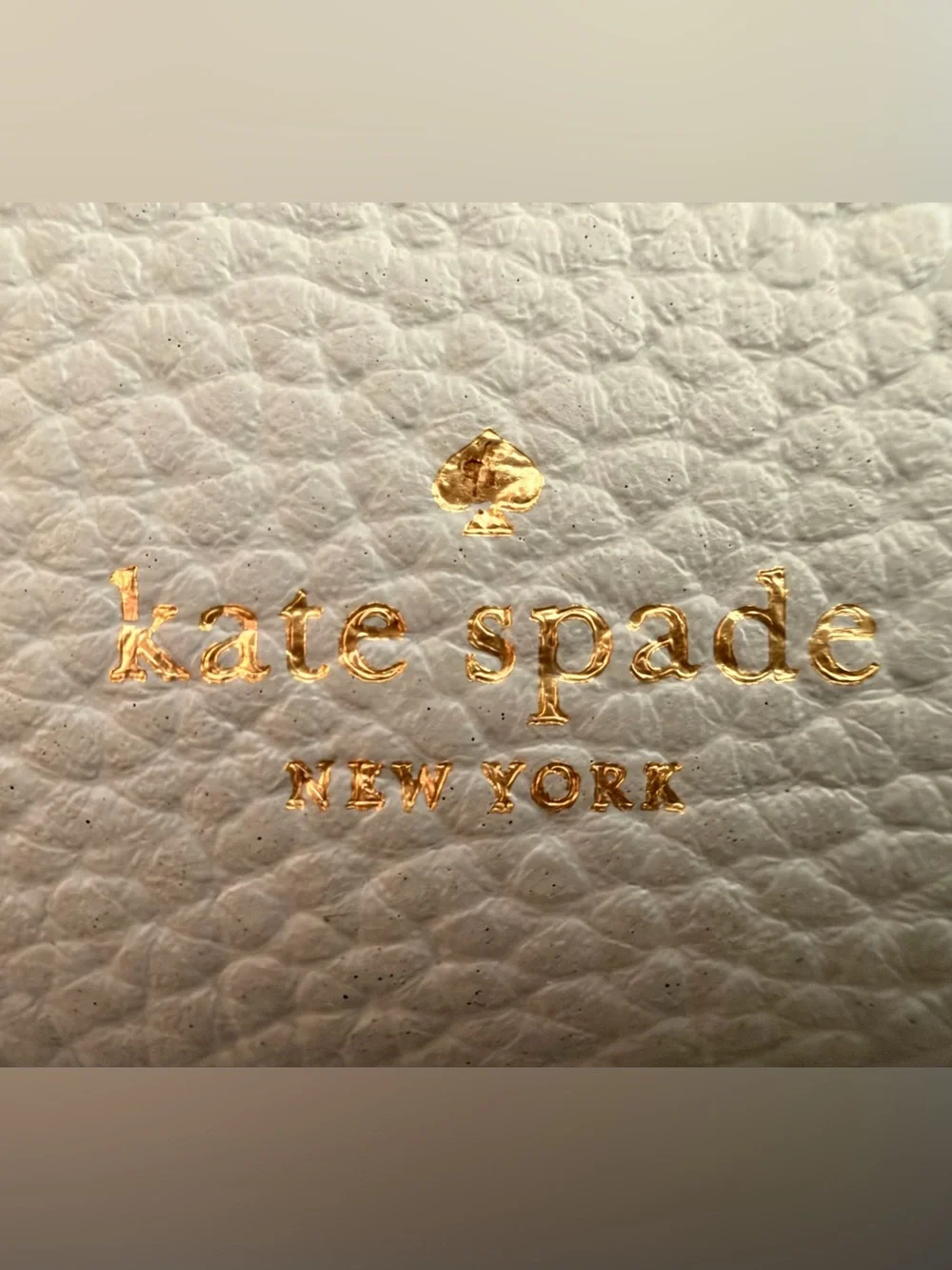 Kate Spade pebble leather  purse&clutch in light blue